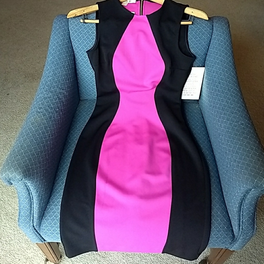 Boston Proper Colorblock Scuba Dress